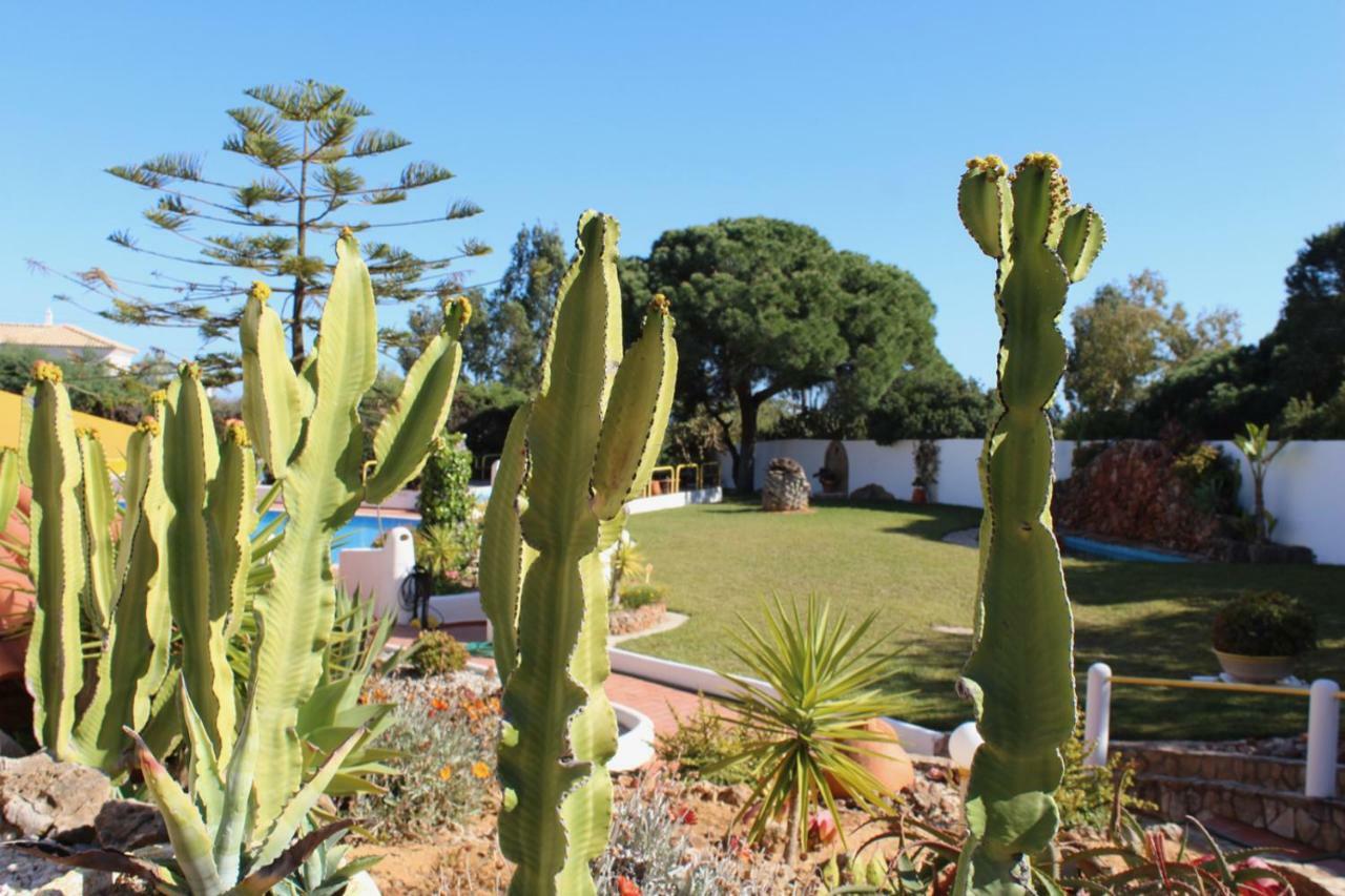 Casa Areias Boutique Apartments Albufeira Luaran gambar